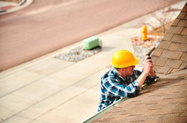 Best Roof Gutter Cleaning  in Adwolf, VA